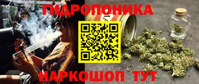 скорость Можга